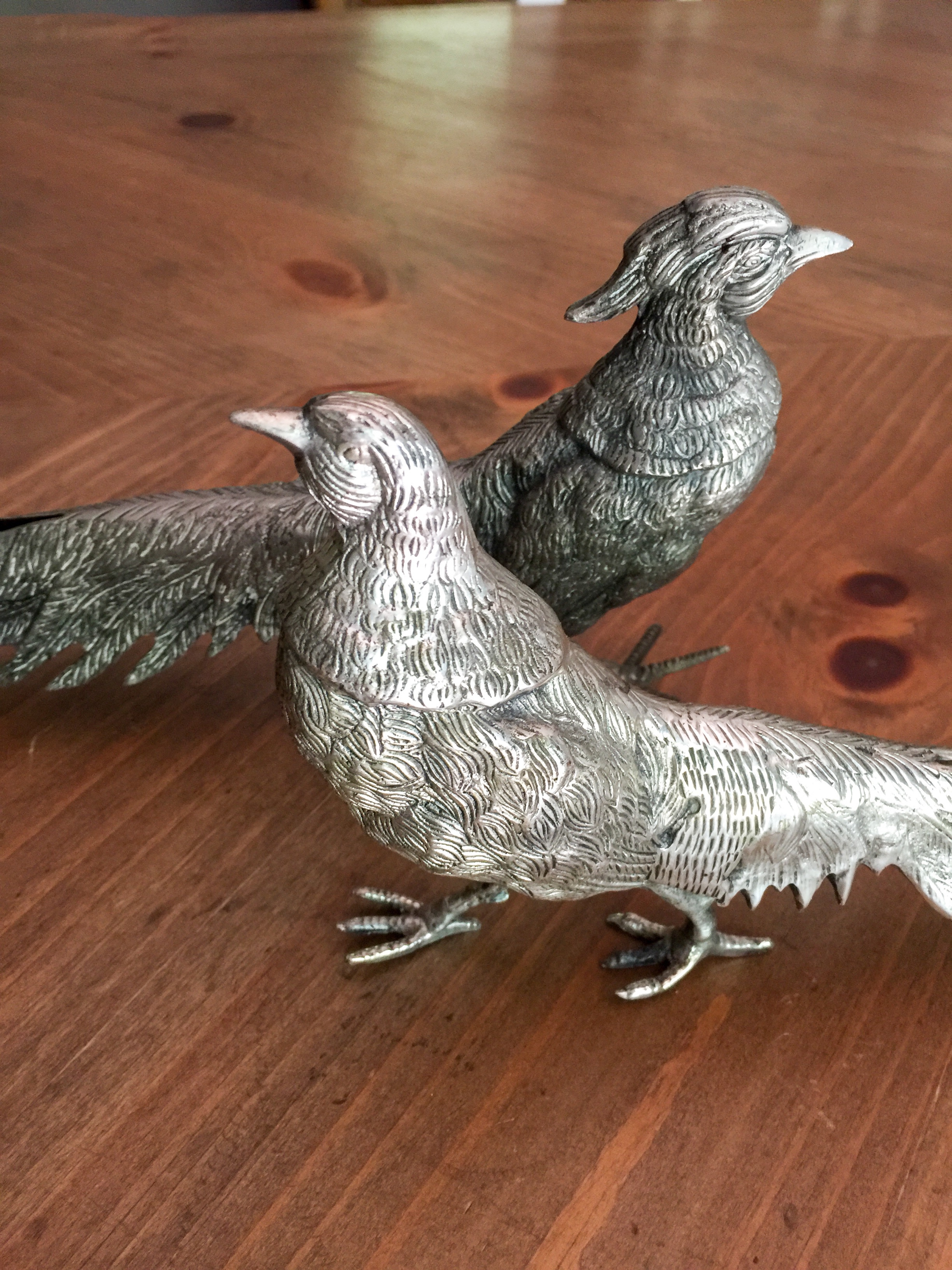 Silver Pheasants